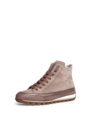Candice Cooper Janis Strip High Top Sneaker - Brown