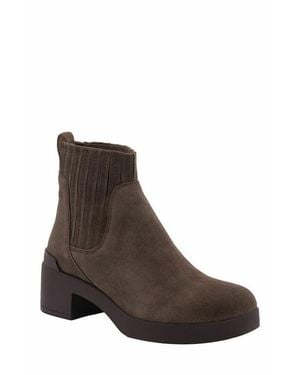 ABEO Capital Chelsea Boot - Brown