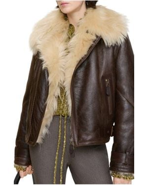 Burberry Cropped Shearling Aviator Jacket - Brown