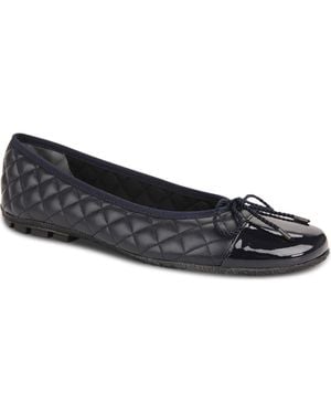 Paul Mayer Cozy Quilted Cap Toe Ballet Flat - Blue