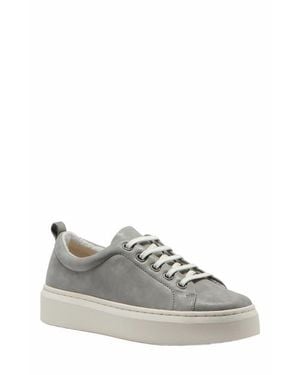 ABEO Jumpstreet Bungee Sneaker - Multicolor