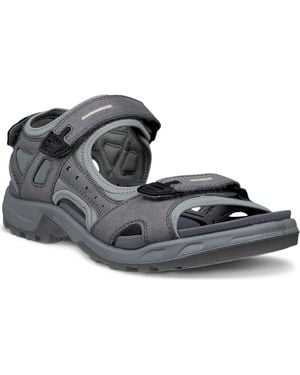 Ecco Yucatan Sandal - Gray