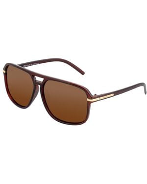 Simplify Reed Polarized Sunglasses - Brown