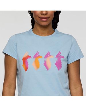 COTOPAXI Cuatro Bitmap T-Shirt - Blue