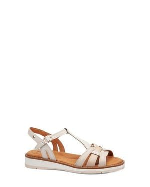 Pikolinos Roquetas Sandal - Brown