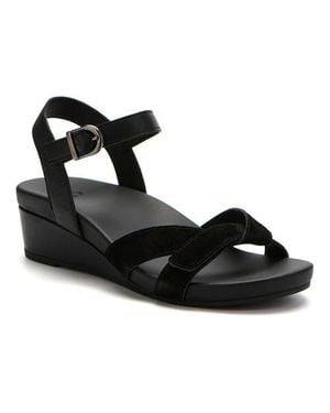 ABEO Riviera Ii Buckle - Black