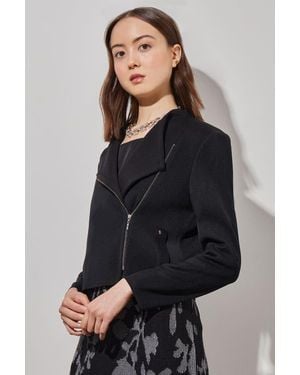 Ming Wang Tailored Moto Jacket - Black