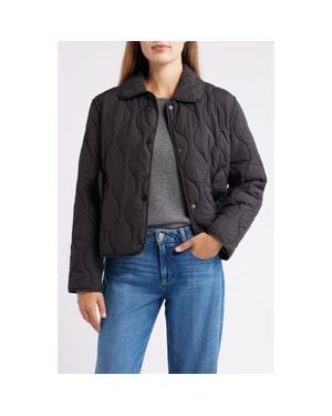 Bernardo Quilted Jacket - Black