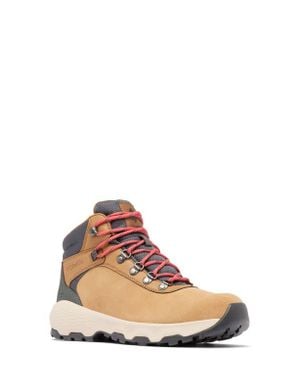 Columbia Newton Wander Waterproof Hiking Boot - Multicolor