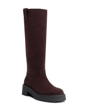 Stuart Weitzman Ren Knee High Boot - Brown