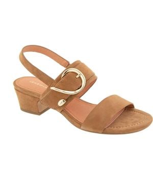 Andre Assous Patresa Ankle Strap Sandal - Brown