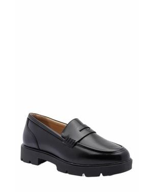 ABEO Boulevard Loafer - Gray