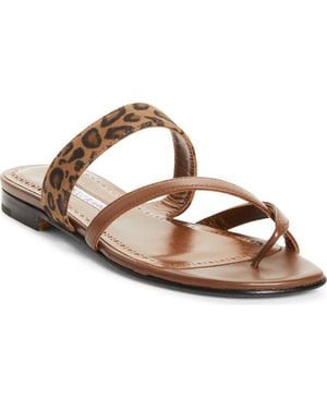 Manolo Blahnik Susa Crossover Sandal - Brown