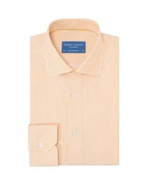 Robert Talbott Reynolds Dobby Stripe Shirt - Multicolor