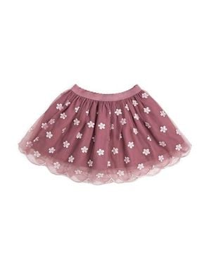 Sweet Wink Floral Embroidered Tutu Skirt