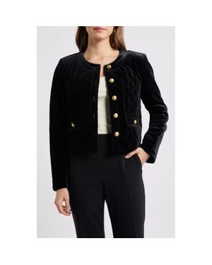 Tahari Quilted Crop Velvet Jacket - Black