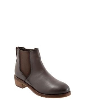 Softwalk Rana Chelsea Boot - Brown