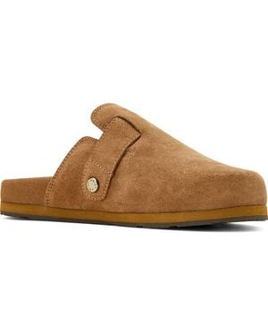 Ariat Country Mule - Brown