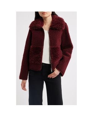 Sam Edelman Zip Front Faux Shearling Jacket - Multicolor