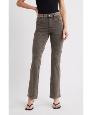 Hue Baby Bootcut Denim Leggings - Black