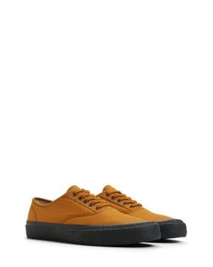 Sperry Top-Sider X Color Plus Companie Cvo Sneaker - Brown