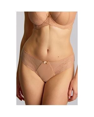 Panache Ana Lace Trim Thong - Brown