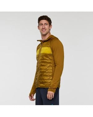 COTOPAXI Capa Hybrid Insulated Hooded Jacket - Green