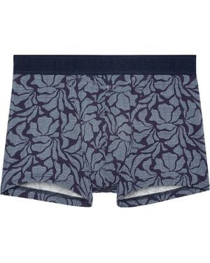 Hom Long Island Boxer Briefs Ho1 - Blue