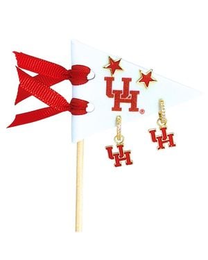 Color Shout College Of Houston Pennant Pair Earring Set - Green