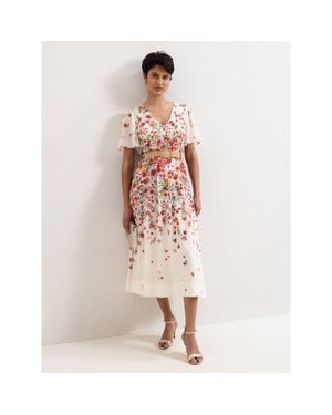 Phase Eight Petite Lovette Dress - Pink