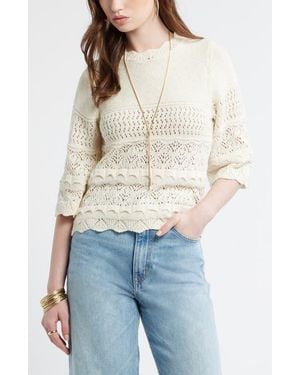 Treasure & Bond Pointelle Knit Scallop Trim Cotton Sweater - Blue