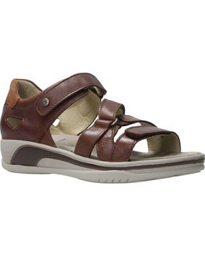 Wolky Desh Sandal - Brown