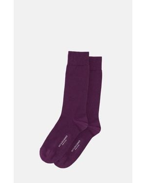 SCAROSSO Colocott Socks - Purple