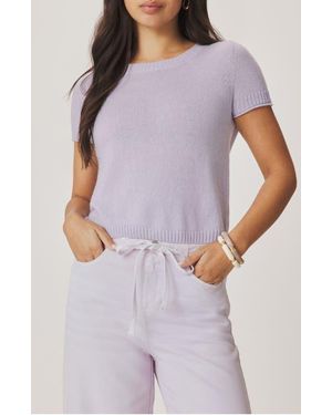 Splendid Emerson Short Sleeve Sweater - Purple