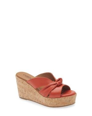 Cordani Dumont Platform Wedge Slide Sandal - Multicolor