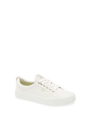 CARIUMA Oca Low Cap Tie Sneaker - White