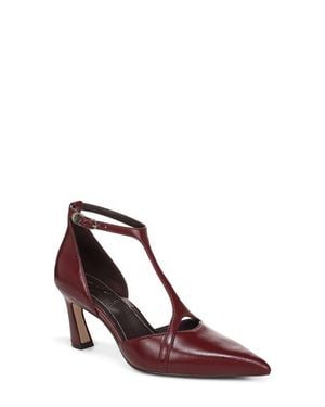 27 EDIT Naturalizer Ezlyn T-Strap Pointed Toe Pump - Brown