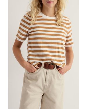 Seasalt Cornwall Copseland Stripe Organic Cotton T-Shirt - Multicolor