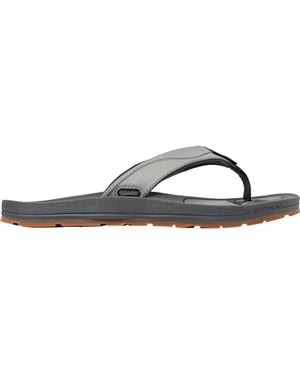 Astral Filipe Flip Flop - Brown