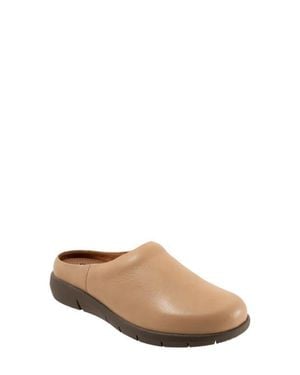 Softwalk Andria Mule - Natural