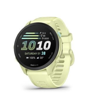 Garmin Forerunner 70 43Mm Smartwatch - Metallic