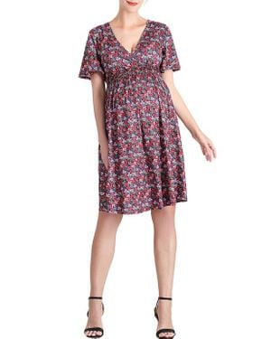 Kimi + Kai Evin Maternity/Nursing Dress - Red