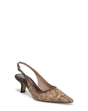 Sam Edelman Bianka Slingback Mesh Pointed Toe Pump - Brown
