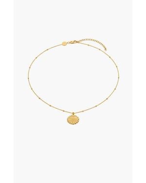 Yoj Conchigla Beaded Shell Choker Necklace - White