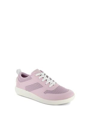 Strive Dash Sneaker - Pink