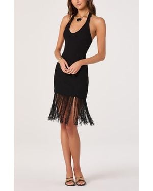 Astr Kate Fringe Halter Neck Sweater Minidress - Black