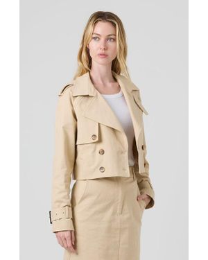 *PRE-ORDER* Tess - Cotton Hooded Circles Jacket