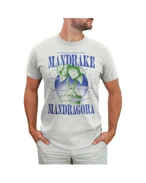 Harry Potter Mandrake Mandragora Graphic T-Shirt - Gray