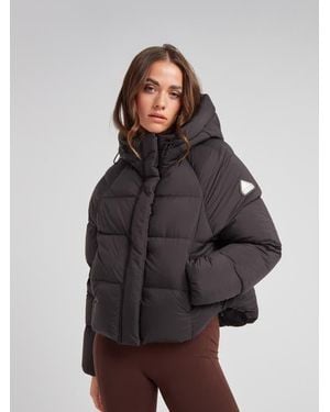 Jacket Cloud Cropped Hooded Puffer Jacket - Gray