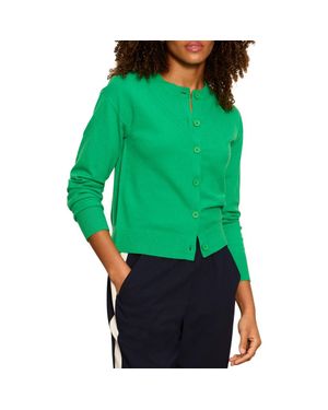 Sanctuary Must-Have Cardigan - Green